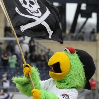 pittsburghpiratesparrotmascot